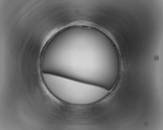 X0000111510997200907141331