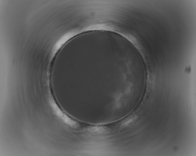 X0000111510998200907141331