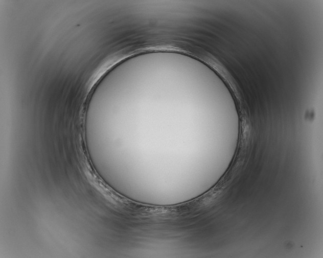 X0000111511002200907141331