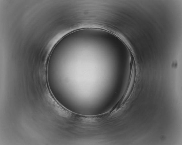 X0000111511004200907141331