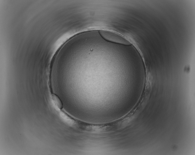 X0000111511005200907141331