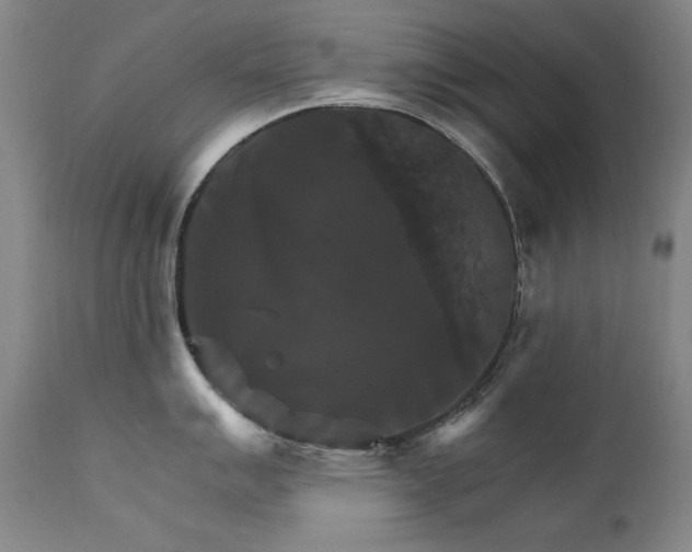 X0000111511007200907141331