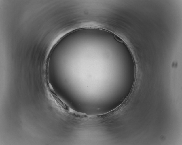X0000111511008200907141331