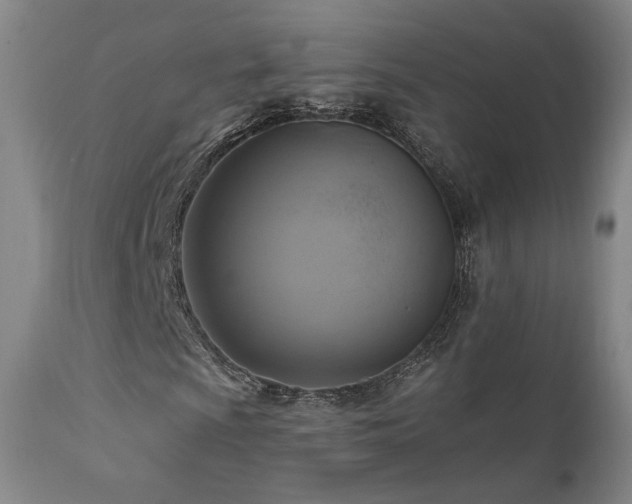 X0000111511009200907141330