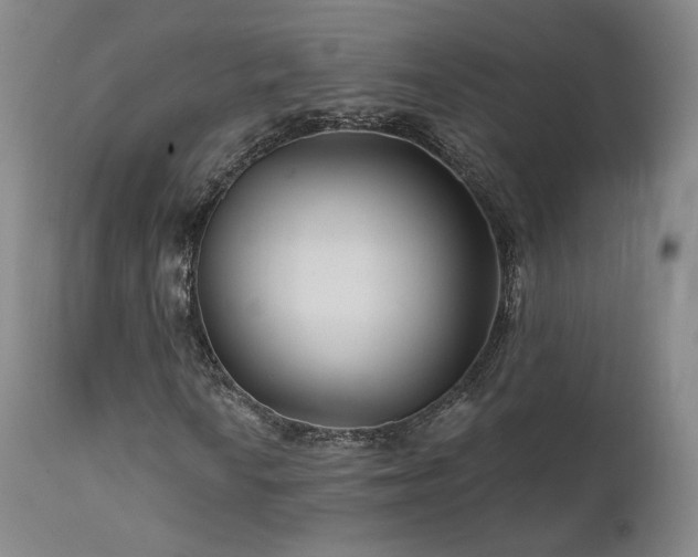 X0000111511010200907141330