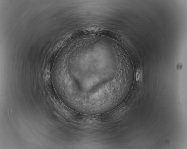 X0000111511011200907141330