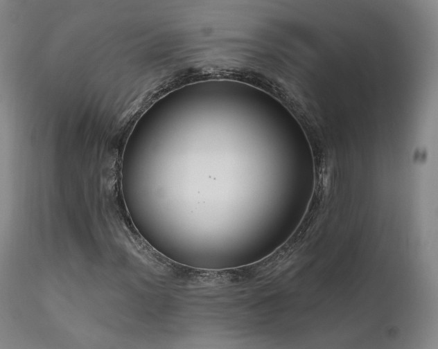 X0000111511012200907141331