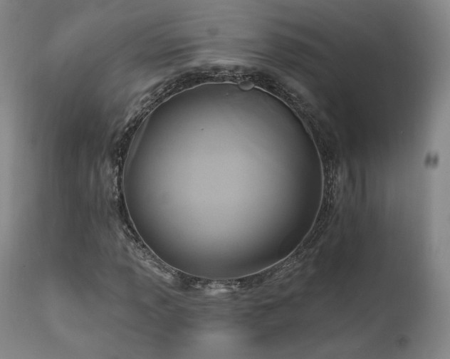 X0000111511013200907141331