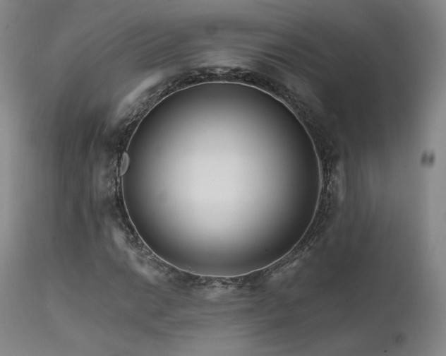 X0000111511014200907141331