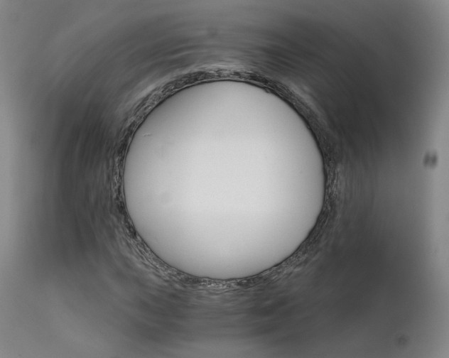 X0000111511015200907141331