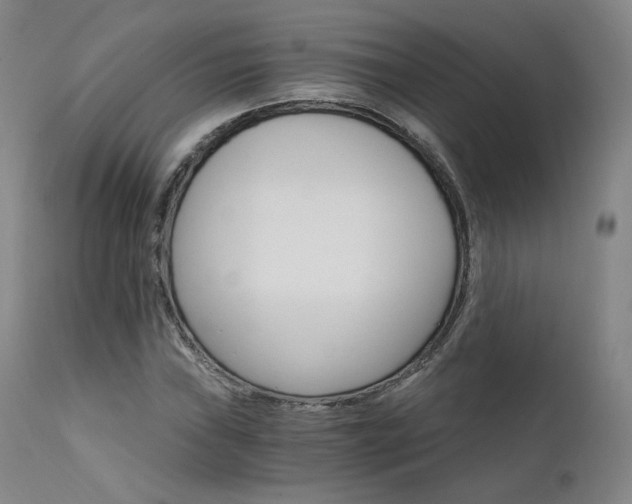 X0000111511019200907141331