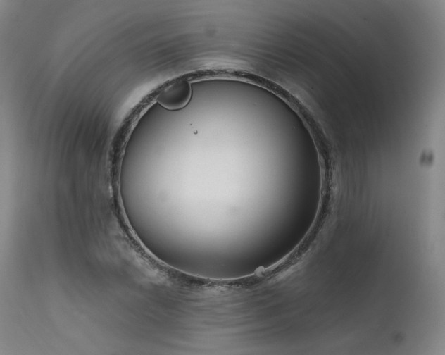 X0000111511022200907141331