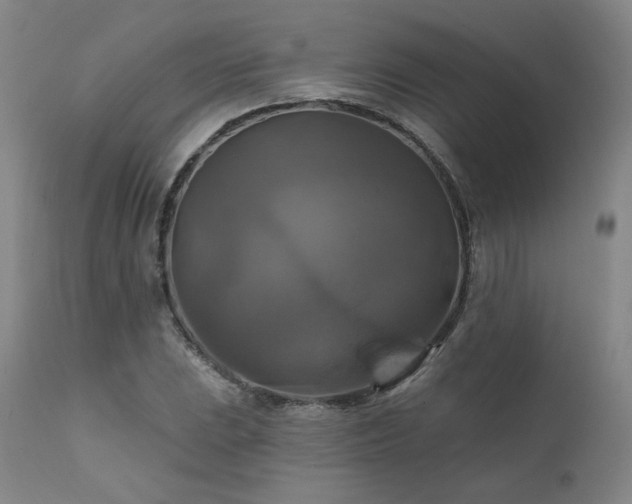 X0000111511023200907141331