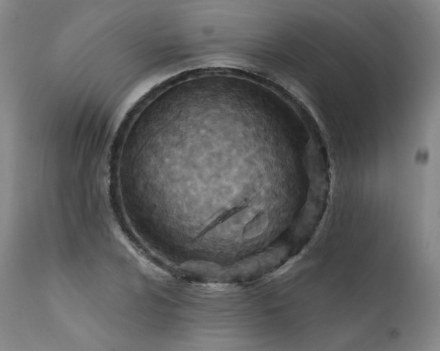 X0000111511024200907141331