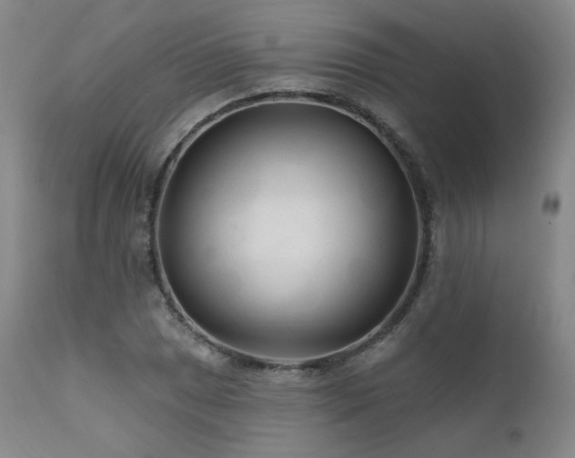 X0000111511025200907141331