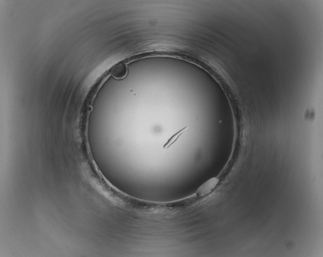 X0000111511026200907141331