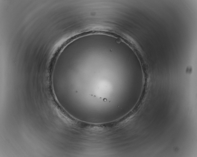 X0000111511027200907141331