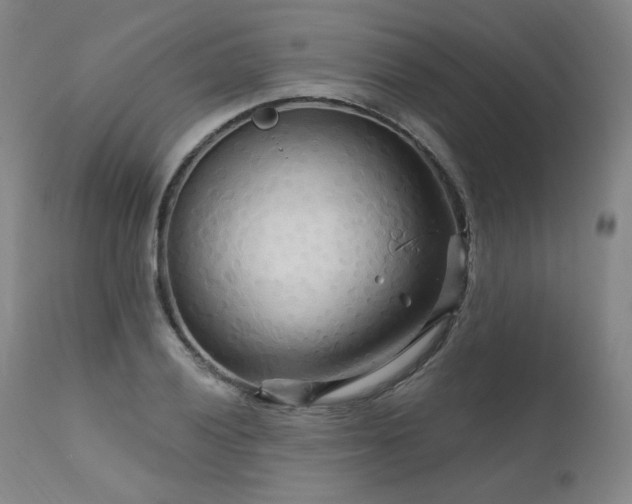 X0000111511028200907141331