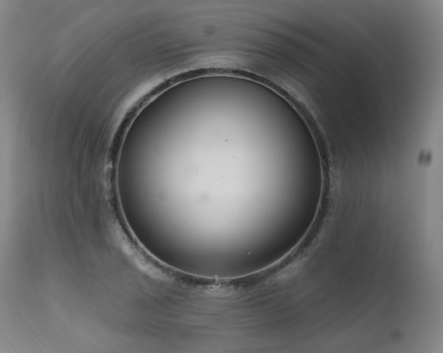 X0000111511029200907141331