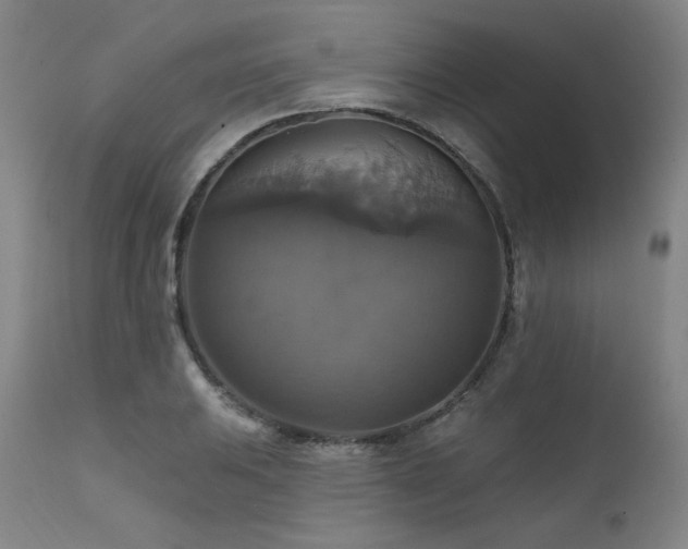 X0000111511031200907141331