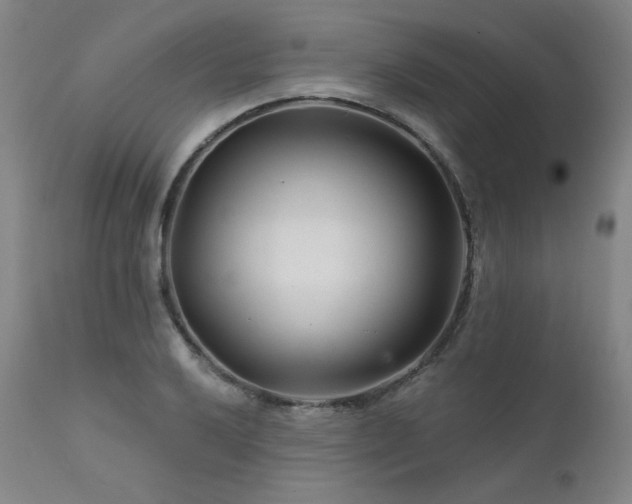 X0000111511032200907141331