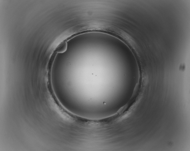 X0000111511034200907141331