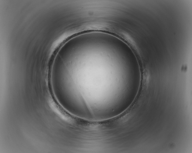 X0000111511035200907141331