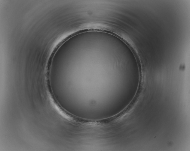 X0000111511037200907141331