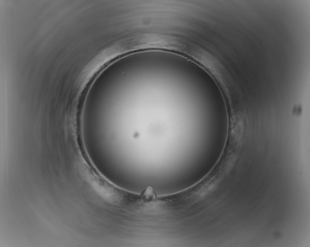 X0000111511043200907141331
