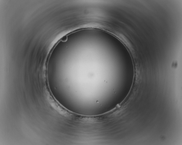 X0000111511044200907141331