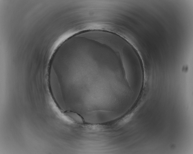 X0000111511045200907141331