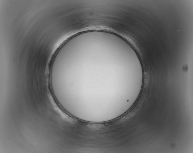X0000111511046200907141331