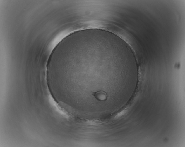 X0000111511047200907141331