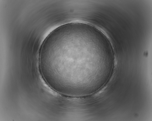 X0000111511048200907141331