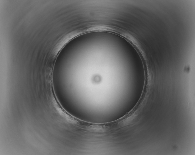 X0000111511049200907141331