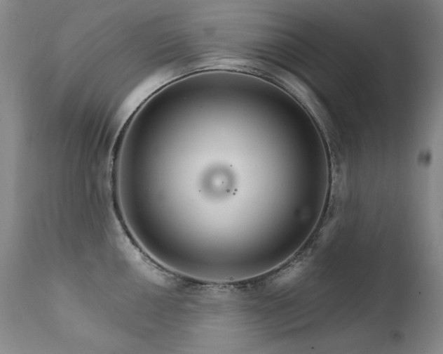 X0000111511050200907141331