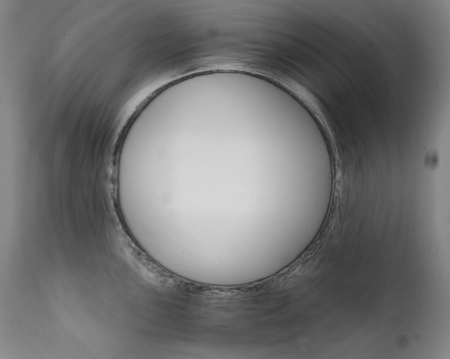 X0000111511051200907141331