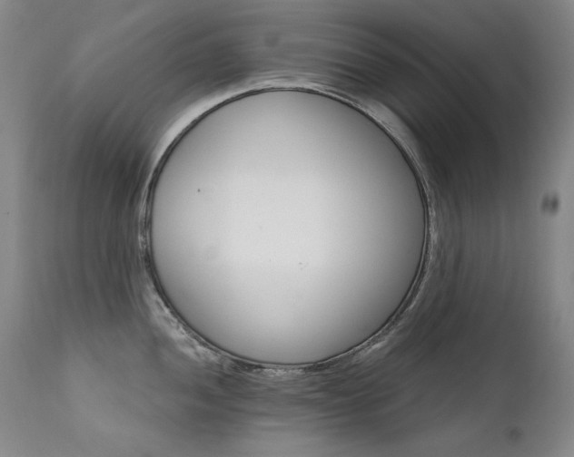 X0000111511052200907141331