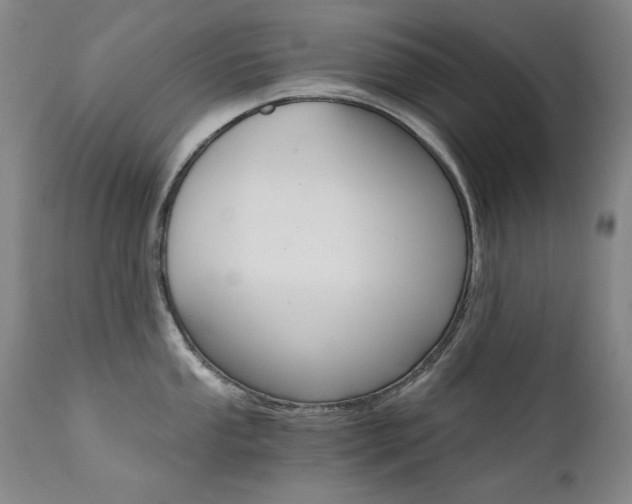 X0000111511053200907141331