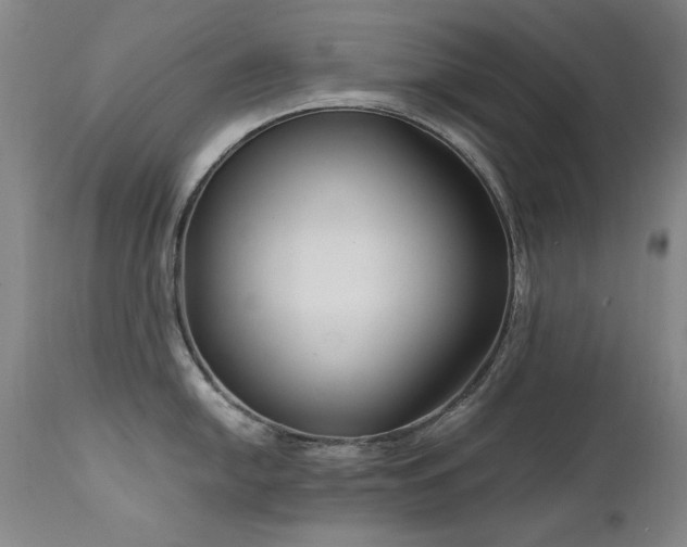X0000111511054200907141331