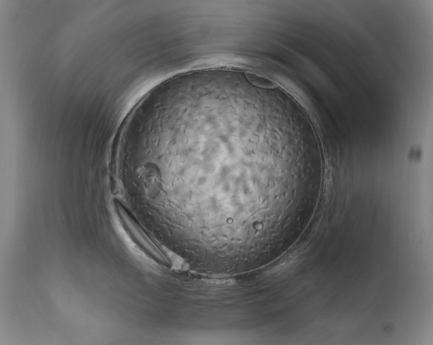 X0000111511055200907141331