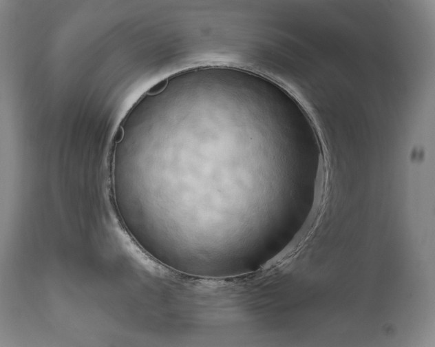 X0000111511056200907141331