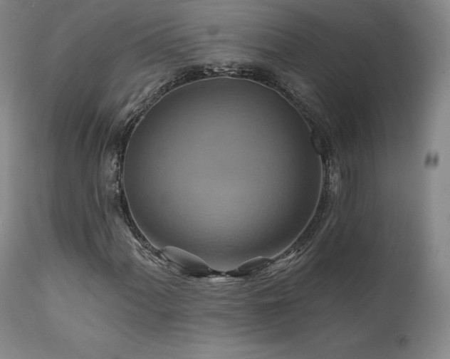X0000111511060200907141330