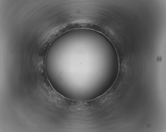 X0000111511062200907141330