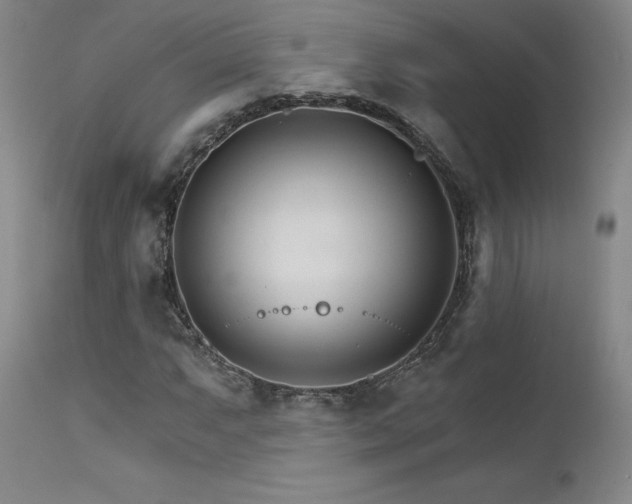 X0000111511063200907141330