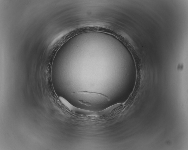 X0000111511064200907141330
