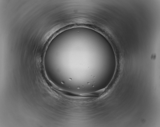 X0000111511065200907141330