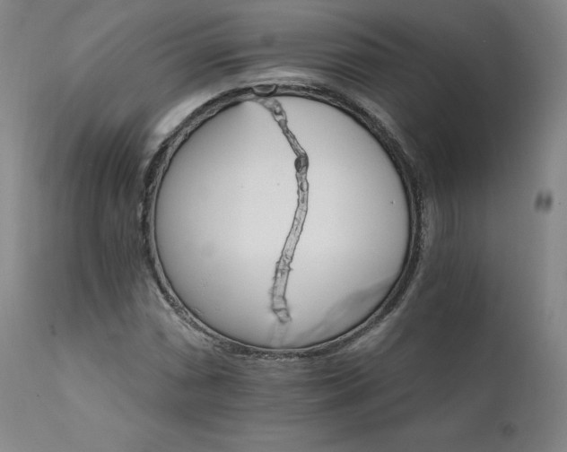 X0000111511066200907141330