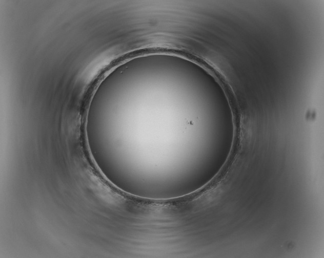 X0000111511067200907141330