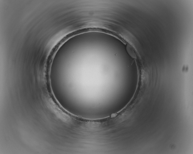 X0000111511068200907141330